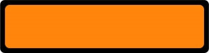 Centurion Centurion Nursing Chart Labels - Dark Orange Blank Nursing Chart Label - DR1512
