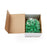 Medline Tourniquets - Tourniquet, Rolled and Banded, Green, 1" x 18" - DYND75020G