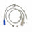 Applied Medical Technology AMT Mini Classic Compatible Extension Sets - Mini Classic Compatible Gastric Extension Set with Right Angle Connector and Y-Port Adapter, 24" - 6-2422