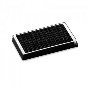 Eppendorf MTP 96/300 V-Bottom - MTP 96/300, V, BLACK, PCRCLEAN, PK/80 - 951040260