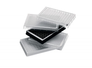 Eppendorf Microplate 384/V-PP Barcode - MICROPLATE 384/V-PP BARCODE STERIL 80PCS - 30610318