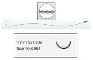 Ethicon Stratafix PDS Wound Closure System - Stratafix Spiral PDS Suture, Violet, Size 3-0, 15 cm, RB-1 Needle - SXPP1B422