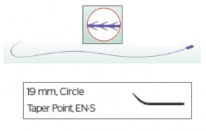Ethicon Stratafix PDS Wound Closure System - Stratafix Spiral PDS Suture, Violet, Size 0, 30 cm, EN-S Needle - SXPP1B452