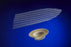 Ethicon Ultrapro Hernia Repair System - UltraPro Hernia Plug, Size M - UPPM6