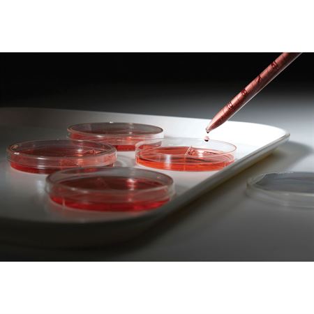 Extreme Temperature Tray with Drop Sides 32.75"W x 24.75"D x 1.5"H