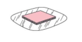 Polymem Film Dot Adhesive Dressings by Ferris