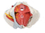 Female Pelvis, 6-Part with Ligaments