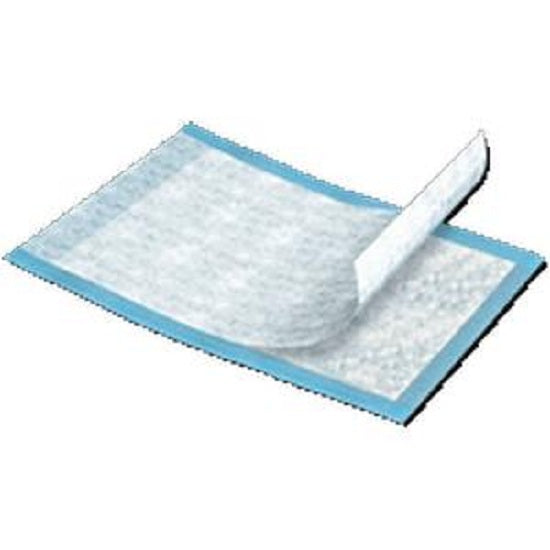 Ultra Plus Absorbency
