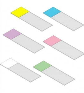 General Data Inc Routine Color Microscope Slides Beveled Edges - SLIDES, MICROSCOPE, BEVELED EDGES, LILAC - SM-CS-BL