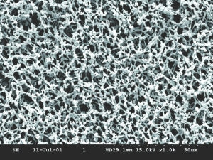 Whatman Mixed Cellulose Ester Membrane - MEMBRANE, ME26/31 ST 0.6UM 47MM 100/PK - 10409870