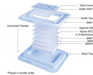 Whatman TurboBlotter Kits - TURBOBL, KIT NY-SPC 100X150MM - 10416300