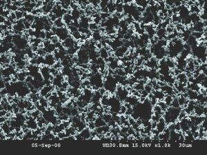 Whatman Nitrate Membrane Filters - MEMBRANE, NITRATE, WCN WH 50MM 0.45UM 100 - 7184-005