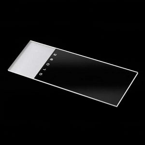 Globe Scientific Frosted Microscope Slides - Microscope Slide with 1 Frosted White End and Both Sides Frosted White, 90° Ground Edges - 1308