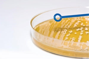 Heathrow Scientific Disposable Inoculating Needle / Loops - Inoculating Needle / Loop, Sterile, Rigid ABS, 1µL Loop - HS81121B