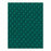 Hausmann Bariatric Electric Mat Platforms - Bariatric Electric Mat Platform, 5' x 7', Green - 1429-57-121
