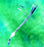 Teleflex Medical Endobronchial Tubes - Endobronchial Tube, Sher-I-Bronch, Right, 39 Fr - 5-16139