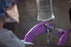 Halyard Healthcare Purple Nitrile Exam Gloves - Powder-Free Purple Nitrile Exam Gloves with Textured Fingertips, Sterile, Size L - 55093