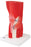 Knee Joint with Removable Muscles, 12-Part