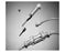 Conmed Small Joint Tubing and Cannula Set - Small Joint Tubing and Cannula Set - 9350