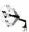 LW Scientific DM Eyepiece - DM 10X EYEPIECE - DME-1077-WFNP