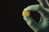 Medline Co-Label MedlineUNITE DBM Crunch Putty - DBM Putty Graft, 10 cc - 32610