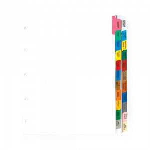 Briggs Corporation Preprinted Chart Dividers - Preprinted Chart Divide ...
