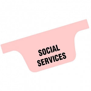 Briggs Corporation Preprinted Chart Dividers - Preprinted Chart Divide 