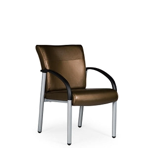 La-Z-Boy Gratzi Collection Lounge Seating - Gratzi Guest Chair with Arms, CAL 133, Grade 6 - LF14AWS-GRADE 6 TB133