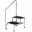 Clinton Industries Inc Crome Step Stools With Handrail - Chrome Step Stools With Handrail, 2 Step - T-6850