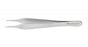 Medline Ewald Tissue Forceps - Ewald Tissue Forceps, 1 x 2 Teeth, 12 cm, 4-3/4" - MDS1015412