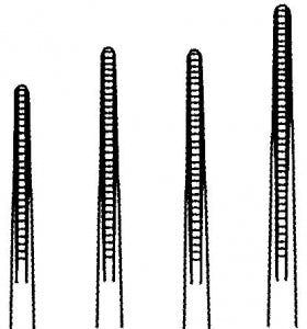 Medline DeBakey Tissue Forceps - Straight DeBakey Tissue Forceps with 2 mm Tips, 16" (40.6 cm) - MDS1130840