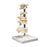 Fabrication Enterprises Inc Six Piece Mounted Vertebrae Model - ANATOMICAL MODEL, VERTEBRAE, REMVBLE STAND - 12-4593