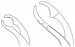 Medline Verbrugge Bone Holding Forceps - FORCEP, BONE HOLDING, SCREW 6" - MDS3239115