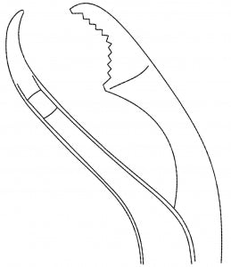 Medline Verbrugge Bone Holding Forceps - FORCEP, ORTHO, VERBRUGGE, 12MM, 11" - MDS3239527