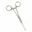 Medline Allis Tissue Forceps - 6" (15 cm) Allis Tissue Forceps with 2 x 3 Teeth - MDS6412012