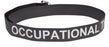 Kinsman Rehab Labeled Gait Belts - GAIT BELT, EASI-CARE, METAL, REHAB, 60" - 80853
