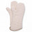 Medline Autoclave Mitts - Autoclave Mitt, 17" (PR) - MDSMJ361