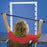 FBE Climbing Board and Bar - CLIMBING BOARD, W/BAR, ROM EXERCISER - 10-1152