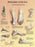 Fabrication Enterprises Inc Laminated Anatomical Charts - CHART, ANATMICAL, FOOT DEFORMITY, LAMINATED - 12-4601L