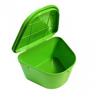 Inteplast Group Denture Cups - Denture Cup with Hinged Lid, 2" x 4" x 3", Neon Green - H980-92
