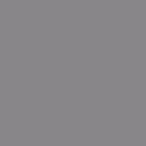Midmark Ritter 203 Treatment Table - 203 Treatment Table with Stirrups, Iron Ore - 203-013-851