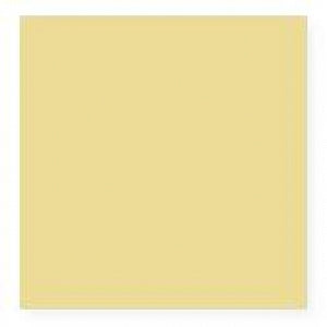 Midmark Corporation Midmark 630 Chair Arms - Midmark 630 Chair Arms Only, 28", Citrus - 9A550001-849