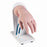 Marketlab Advanced IV Hand - KIT, ADVANCED IV HAND, LIGHT - ML5478-LT
