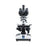 Revelation III Achromatic Microscope Trinocular