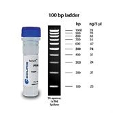 Accuris SmartCheck 100bp DNA Ladder 5x500ul/500lanes