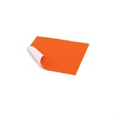 Bio-Screen Wipes Heavy Absorbency, 9â€x8â€, 400PK