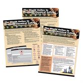 GHS and Hazards Communication Reference Poster GHS Intro Poster Pack, set of 3 - 17"W x 22"H