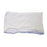Disposable Mesh Panty
