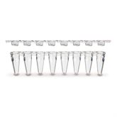 8-Strip PCR Tubes Low Profile - Flat Cap - Clear