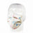 Precept Medical Products FluidGard KittyKare Surgical Masks - KittyKare Procedure Mask - 15130